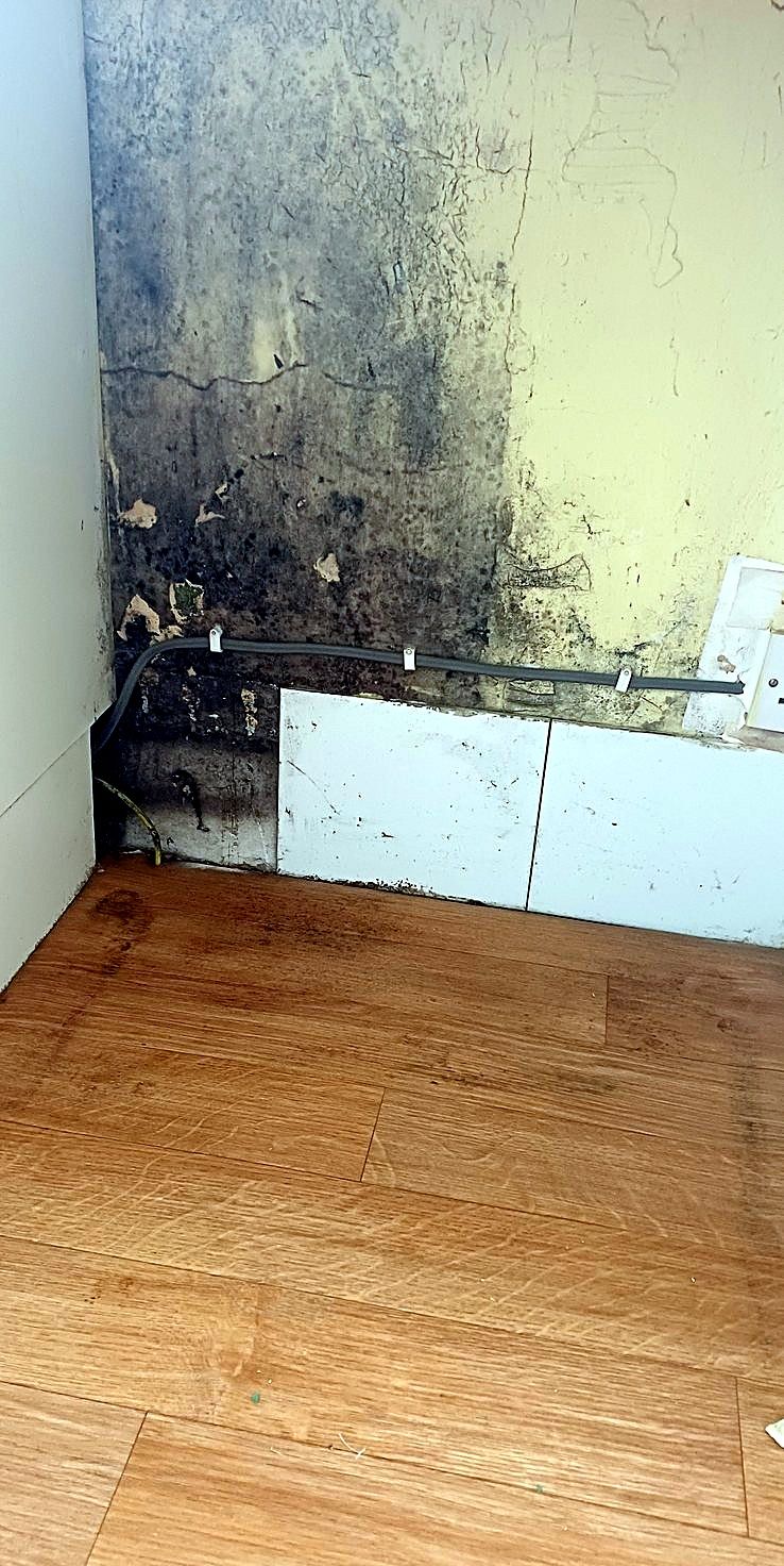 Mould behind kitchen units